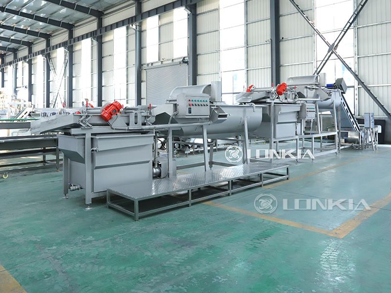 Leaf Vegetable Processing Line