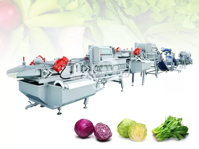 Leaf Vegetable Cutting and Washing Line