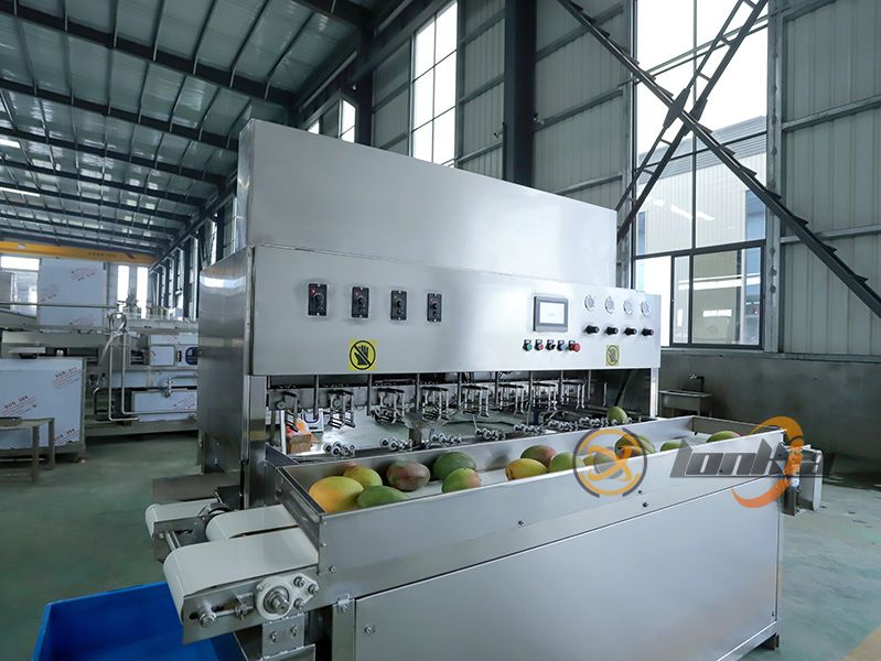 Lonkia Mango Peeling Machine