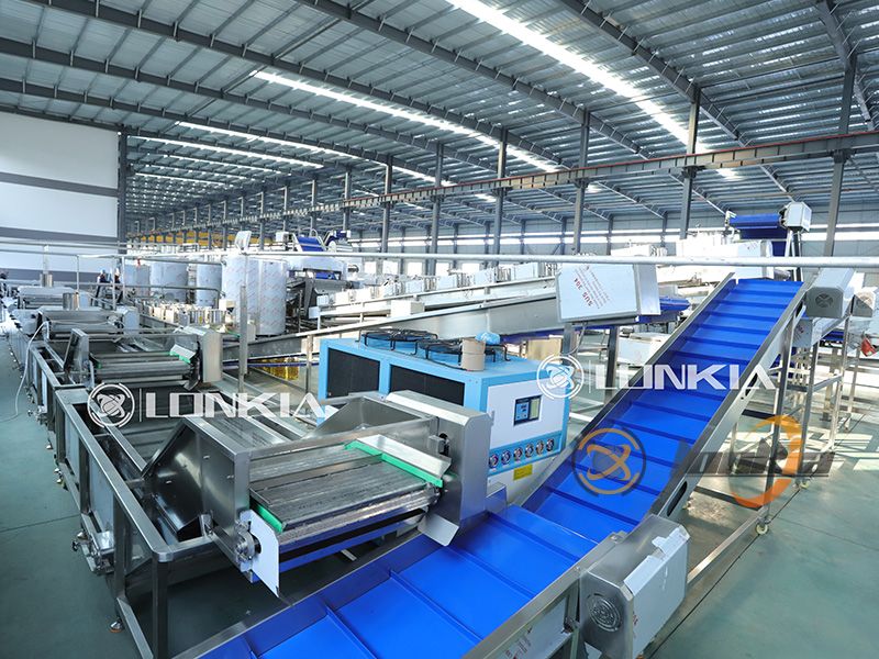 automatic French fries production line for sale