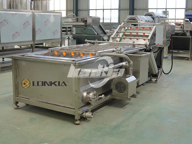 How to Customize a Fruit and Vegetable Washer Machine for Your Factory?