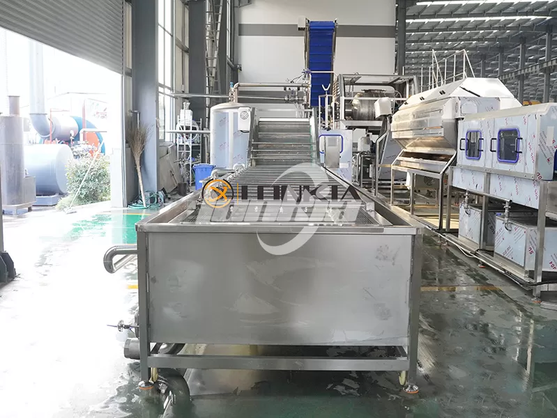 How to Choose the Right Fruit and Vegetable Washer Machine for Your Processing Capacity?