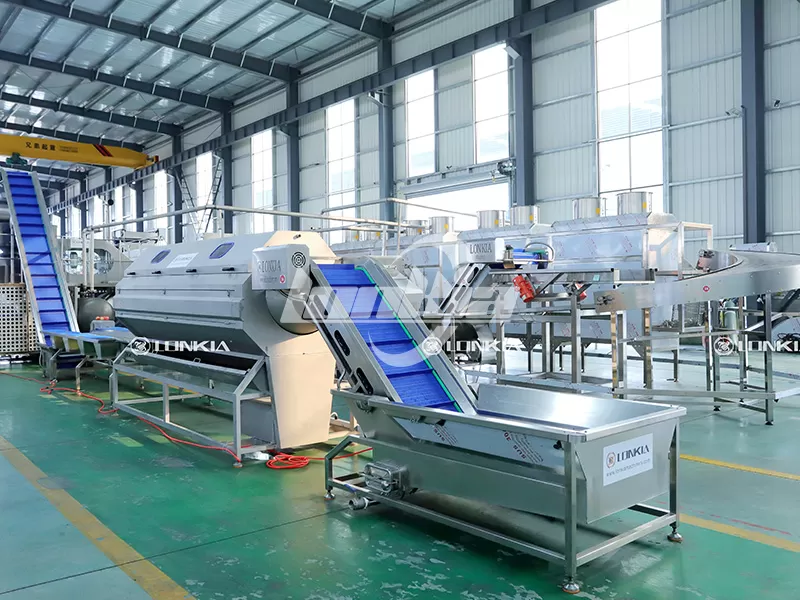 lonkia French Fries Processing Plant in action