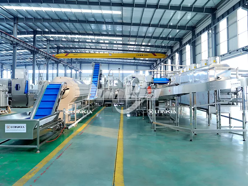Automatic French Fry Maker Investment Guide for Potato Growers