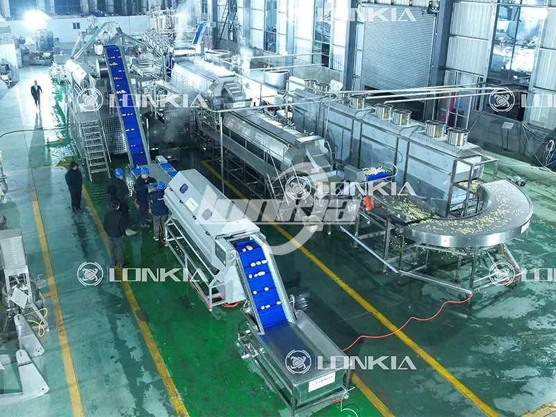 lonkia Frozen French Fries Line plant