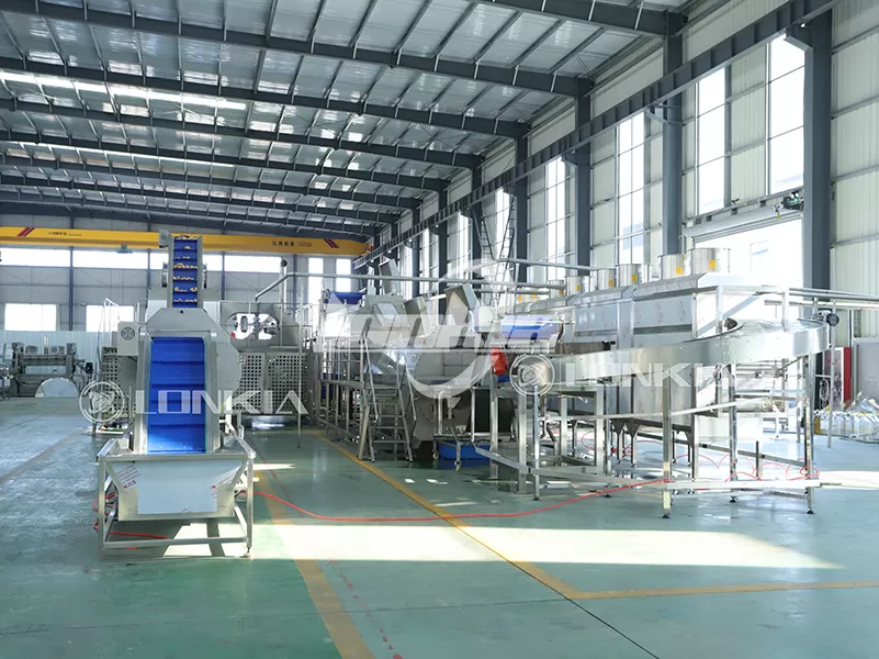 Maintenance and Durability: What to Know Before Buying Potato Fries Making Machines?