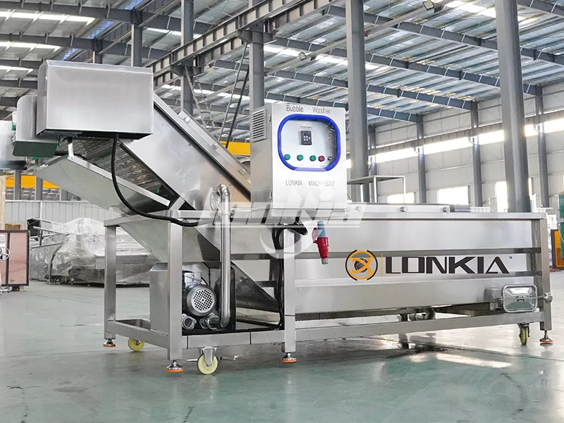 lonkia Fruit Washing Machine
