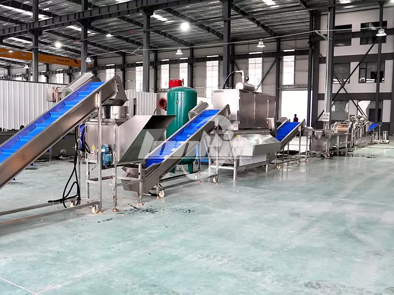 lonkia garlic processing line plant