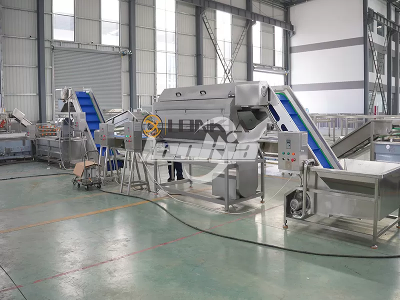 lonkia Industrial Potato Chips Making Machine