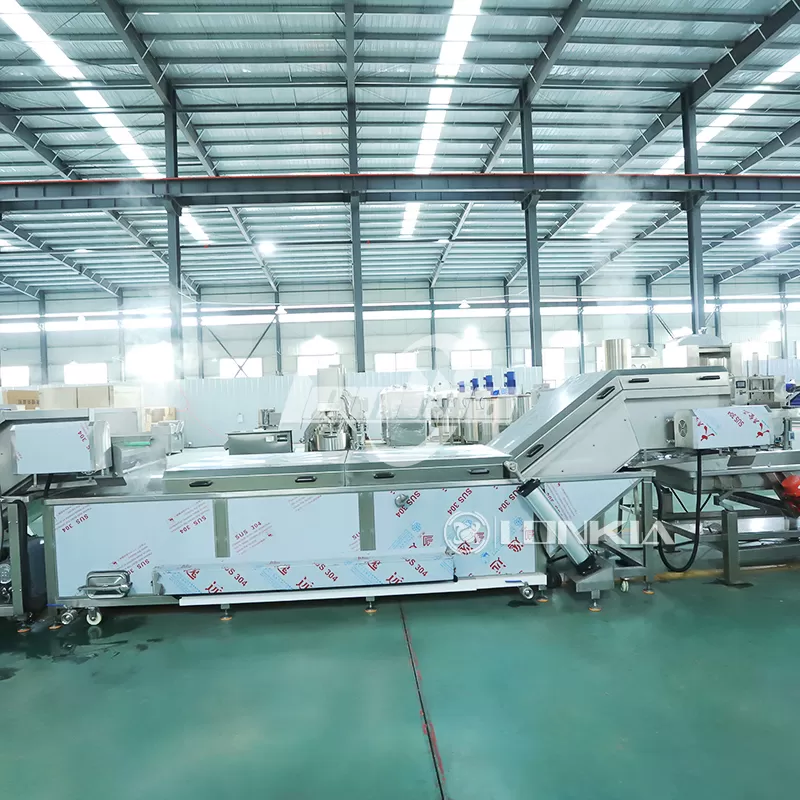 lonkia potato blanching machine