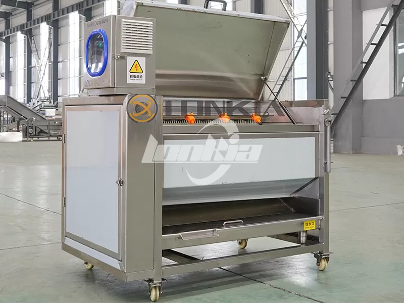 How Does a Potato Washing and Peeling Machine Work?