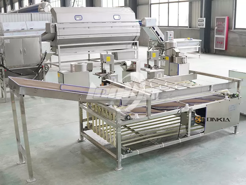 mango grading machine