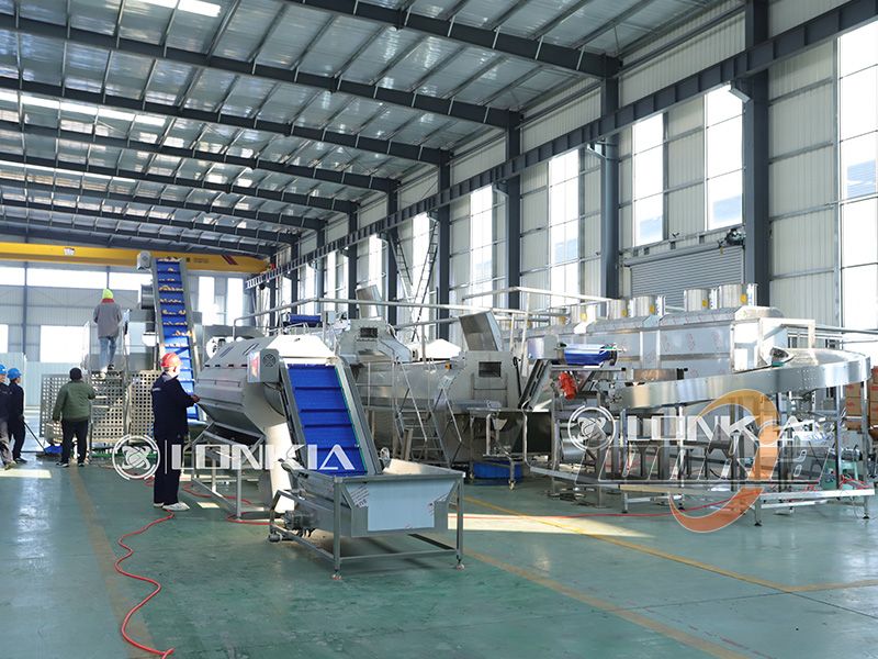frozen potato production line