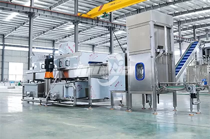 Egg Tray Washing Machine