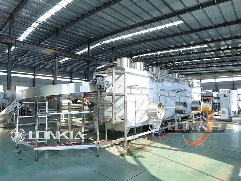 French fries processing machine