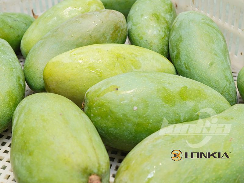 mango before peeling