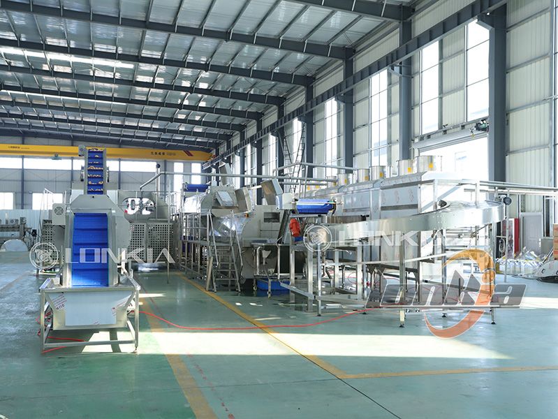 frozen French fries processing line
