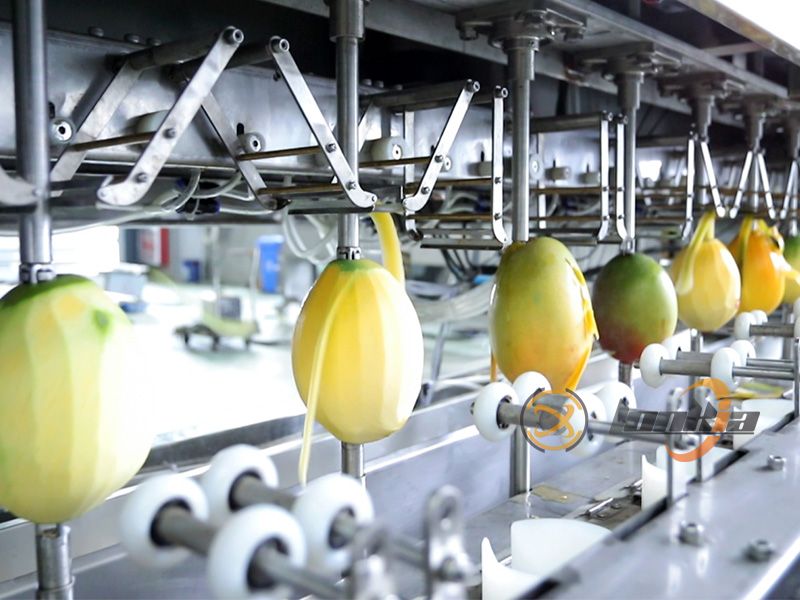 lonkia mango peeling machine factory
