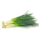 scallion