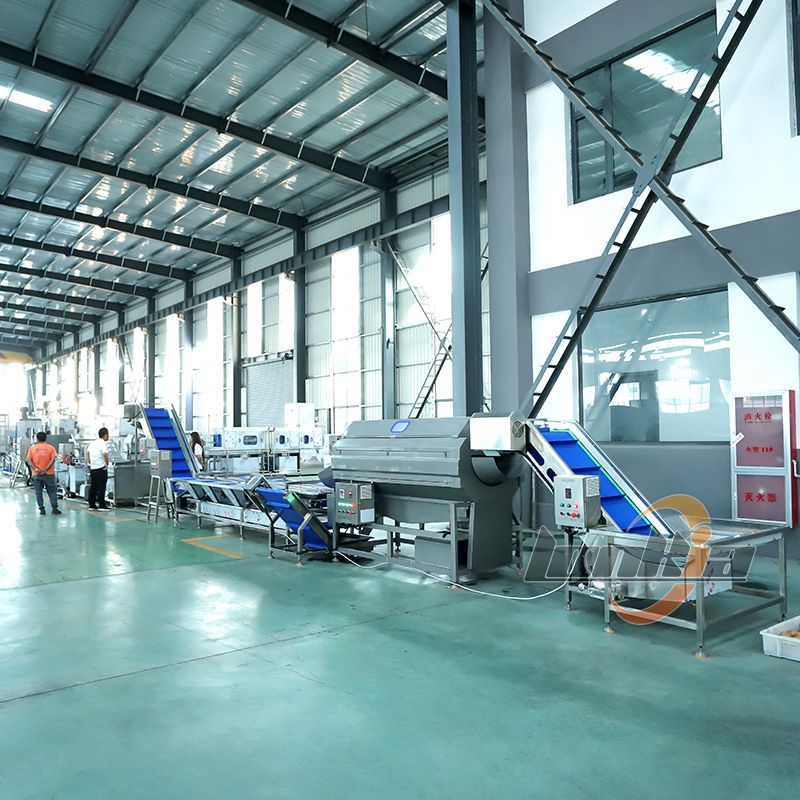 potato blancher in French fries processing line