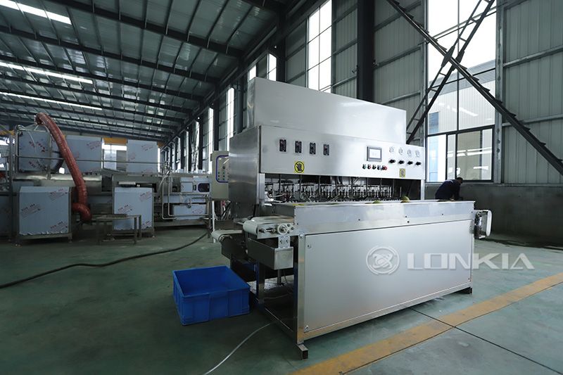 mango peeling machine for sale