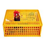 Chicken Crate