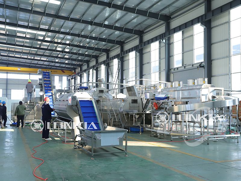 frozen potato production line