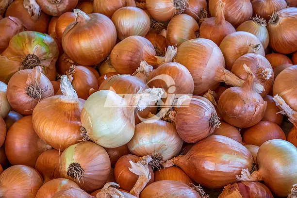 onion