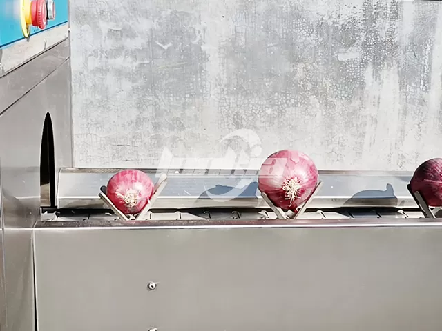 Onion Sorting and Grading Machine Onion Sorting and Grading Machine