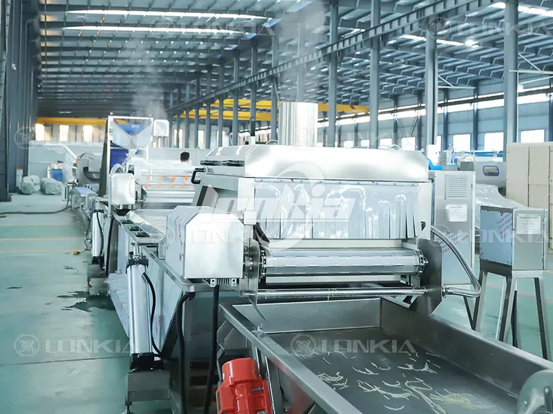Temperature & Time Control Guide for Continuous Blanching Machine