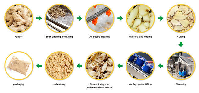 Ginger Powder Processing Line Flow Chart