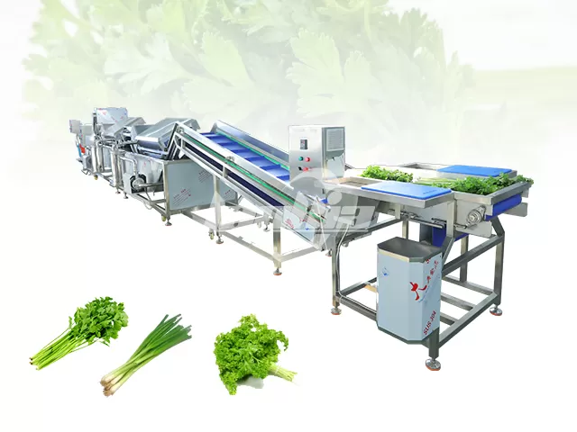 Parsley Vegetable Washing Line