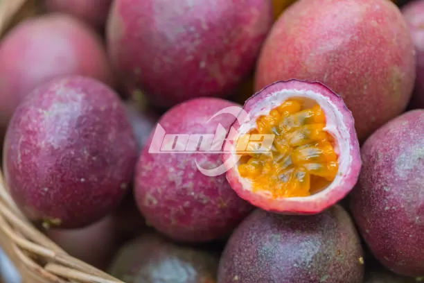 Passion Fruit