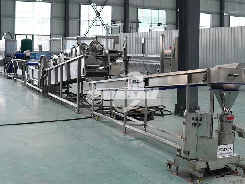 How to Reduce Garlic Processing Loss in a Peeled Garlic Processing Plant?