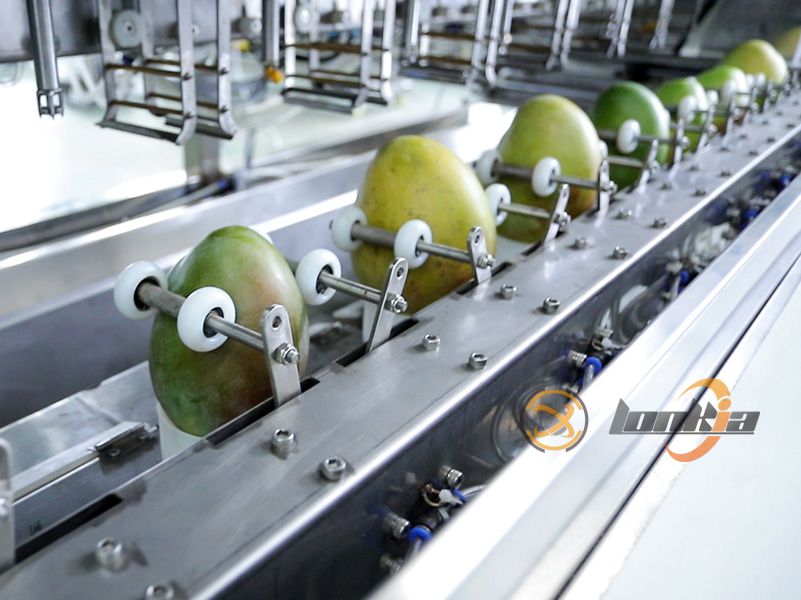 mango peeler design