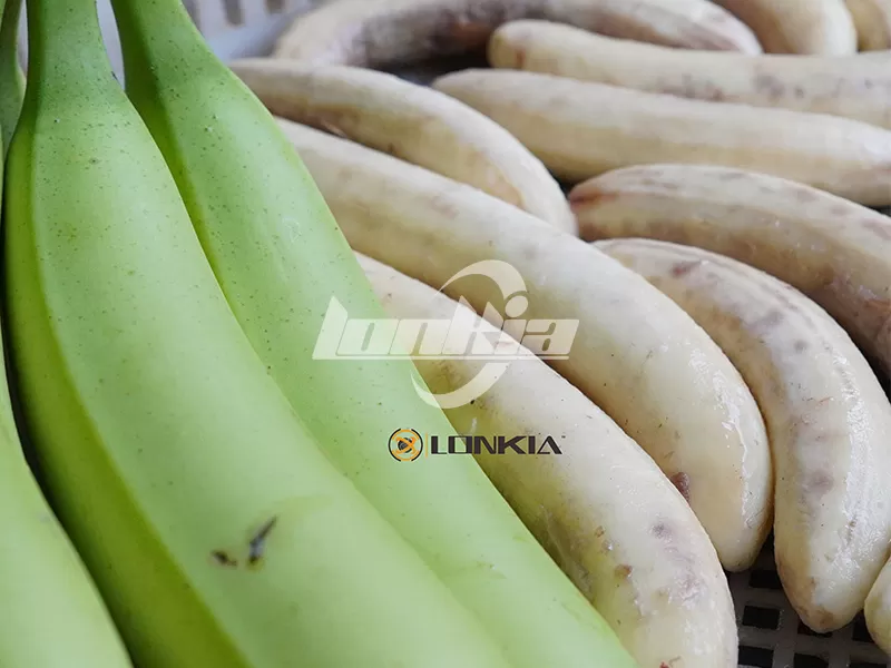plantain