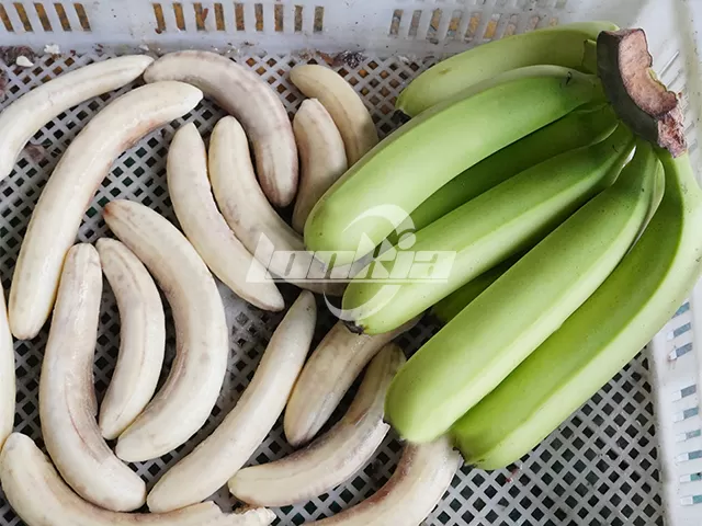 plantains