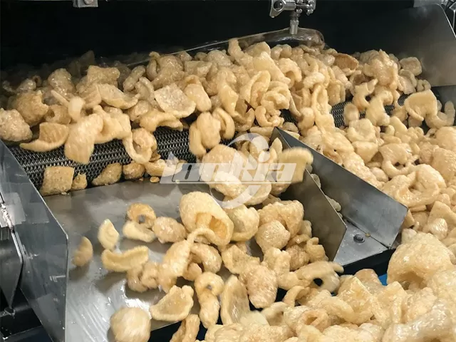 Pork Skin Pork Skin
