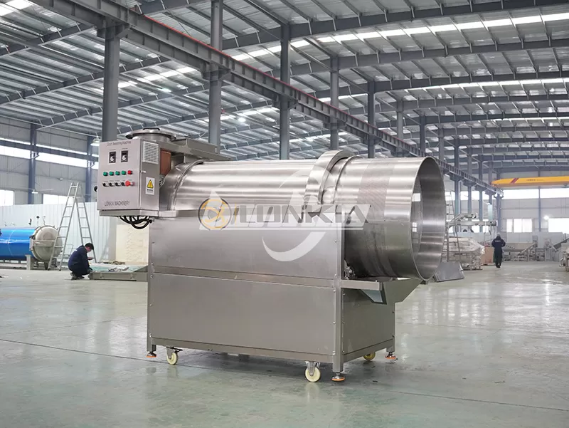 Potato Chip Seasoning Machine Applications in a Potato Chips Making Plant