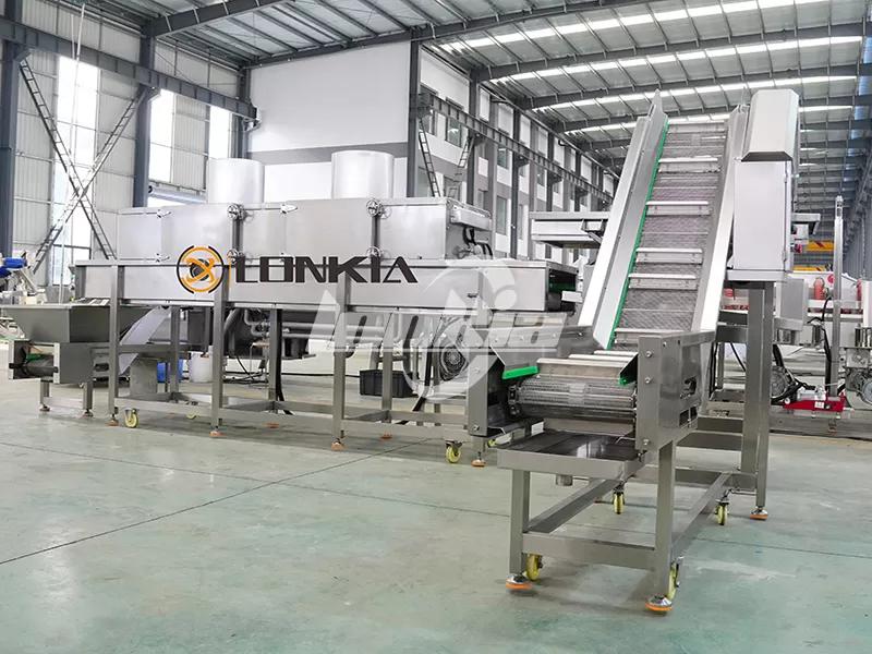 Potato Chips Making Machine Price