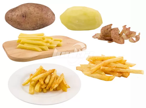 Potato Fries Making Machine: What to Know Before Buying?