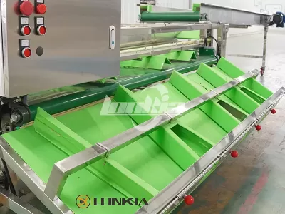 Tomato Grading Machine Cleaning and Maintenance: A Practical Guide