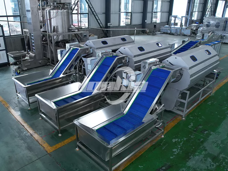 French Fries Making Machine Factory Water Consumption: What Affects It?