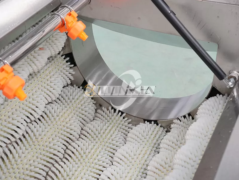 How Does a Potato Washing and Peeling Machine Work?