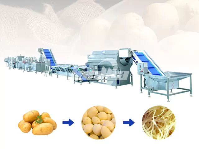 Potato Washing and Blanching Line