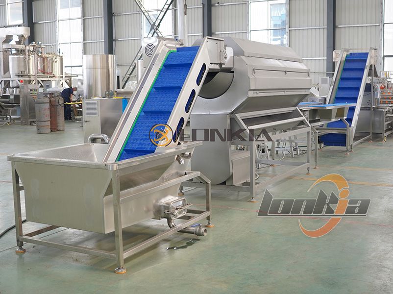 French fries production line for sale