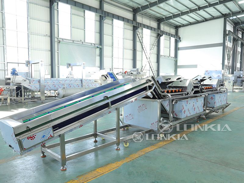 vegetable washer machine in plant