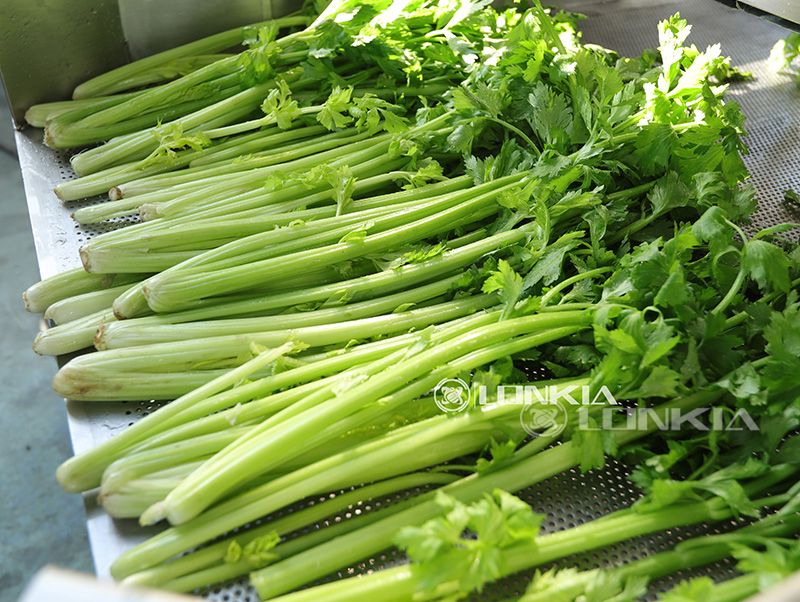 leafy greens