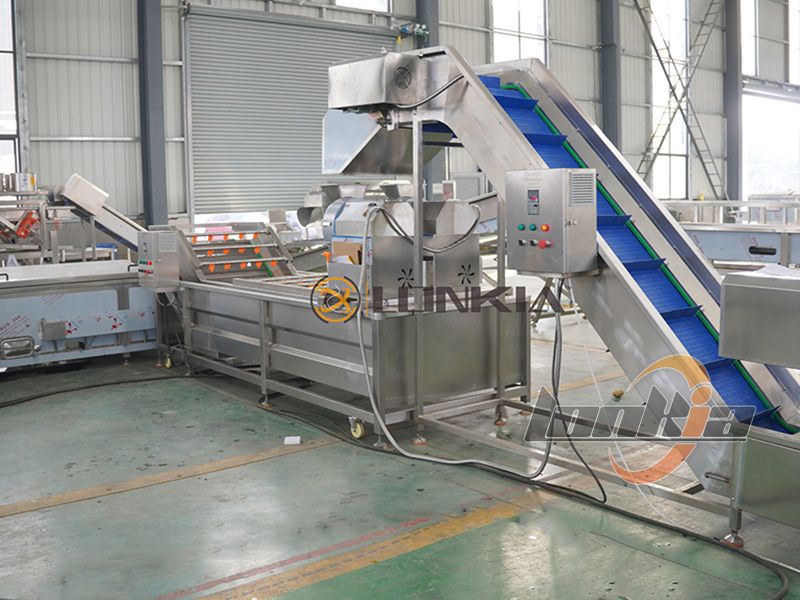 French fries processing line