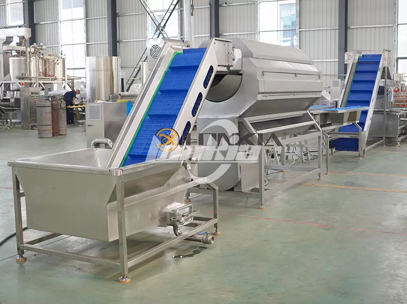 French fries production line for sale